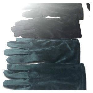 Two Pairs of Velvet Gloves